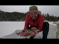 Ice Fishing for Trout with my Goat! (Catch & Cook)