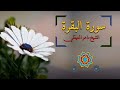 الشيخ ماهر المعيقلي  سورة البقرة  النسخة الأصلية  Surat Albaqra Official Audio