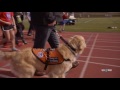 Seizure Response Dog Highlight: Aaron's Story