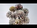 Best out of waste newspaper flower | Newspaper flower making