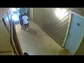 Thieves Stealing my Neighbors Bicycle(5)