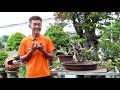 Bonsai Station [Workshop Station] EP.27 แนะนำการทำไม้ซาก (พุดป่า)