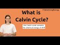 What is Calvin Cycle in Biology? | Definitions and meaning