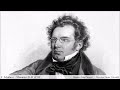 Franz Schubert - Minuet D 41 nº 18