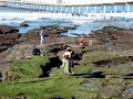 Ocean Beach Tidal Pools - A Look at the Tidal Pools #1