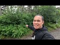 walking in the forest of Juneau Alaska