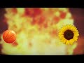 Ballin (instrumental) X Sunflower (vocals)