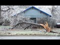 02-01-2023 Georgetown, TX - Major Ice Storm Brings Down Entire Trees Near Austin, Texas