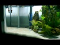 Feeding time / Video Test