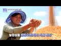 북한 농촌 모델 삼지연의 실상 (2022.01.29/통일전망대/MBC)