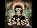 Aurora by The Stoned Apes ft. Ai Vocalist
