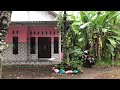 Soft rain in rural Indonesia || sleep peacefully with the sound of rain