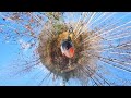 Fall day ride testing the Insta360 x3 camera review at the DirtyBirch