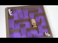 My Funny Pet Hamster in 6-Level Pyramid Maze