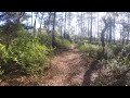 Florida Trail, Juniper Springs to Alexander Springs #6