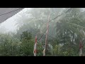 Heavy Rain and strong wind storm in beautiful mountain village in indonesia for sleeping l rain walk