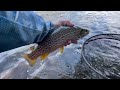 Trout Fishing The LEHIGH RIVER With Jerk Bait
