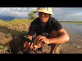 Catch Crabs By Hook Near Mangrove forest After Water Low Tide | BONG VATH |