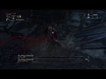 Bloodborne: frustrating moment