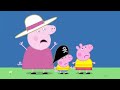 Peppa Pig Full Episodes 🏥 Hospital 🏥 Cartoons for Children