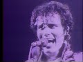 ANT INVASION:  A Documentary of the First Adam and the Ants Invasion