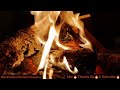 🔴 12 Hour Live Fire #Live #Fire #Stream #BlackwidowBarbiesChannel #Asmr #Fyp #Sleep #Campfire #Vibe