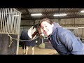 First Fall On My New Horse | GoPro Fun Ride | Riding With Rhi, UK Equestrian YouTuber