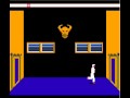 Karateka (NES) in 6:48