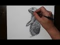 How to Draw a Prairie Dog | Crazy Scribble Art Drawing with a Biro Pen