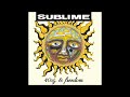 Smoke Two Joints - Sublime (Bass Backing Track)