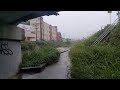 Monsoon in japan (relaxing sound of nature/rain)