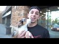 I GOT A NEW PUPPY!! **CUTEST DOG IN THE WORLD**