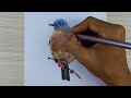 Painting Bluebird using Prismacolor pencil