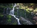 secret forest waterfall - ambient soundscape - chill vibes