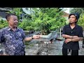 Thăm Vườn Anh Hiệp Ga - Bát Tràng ( Phần 1 ) l Chiến Râu Bonsai .