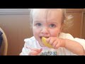 Trate de no reírse ★ Divertida expresión de un bebé comiendo limón