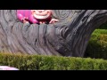 Dumbo the Flying Elephant at Disneyland Paris