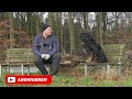 Nordpfad Wolfsgrund und mein Nordpfad-Fazit - Heide, Schneeflocken und barrierefreie Wege