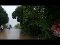 Rain sounds for sleeping.| relaxsing natural heavy rain sound | walking in heavy rain and storms