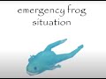 emergency frog