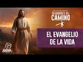 El Evangelio de la vida - Padre Jesús María Bezunartea