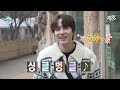 [나혼자산다] ＂모든 것이 계획대로＂ 조계획 규현의 칼각 집안일 MBC240301방송