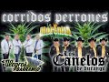 Los alegres del barranco vs los canelos de durango