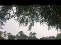 Loud thunderstorm with winds,June 3rd.