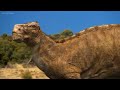 Maiasaura and Dakotadon With Dinosaur soundtrack Across the desert