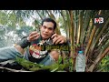 MAKANAN SUKU DAYAK DIZAMAN PURBA KALA ||MAKAN CEMPEDAK BAKAR