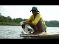 Mekong fishermen react to chemical spill in Laos | Radio Free Asia (RFA)