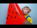 KiKi Monkey drive full of Watermelon Tractor to make Juicy Dessert on the farm | KUDO ANIMAL KIKI