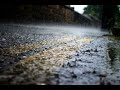 Serenade of Raindrops: Continuous Rainfall for a Tranquil Atmosphere