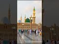 New Heart Touching Naat 2024🔥 II یوں تو لاکھوں مہہ جبیں ہیں II New Kalam 2024  🎤Tahir Nadeeem